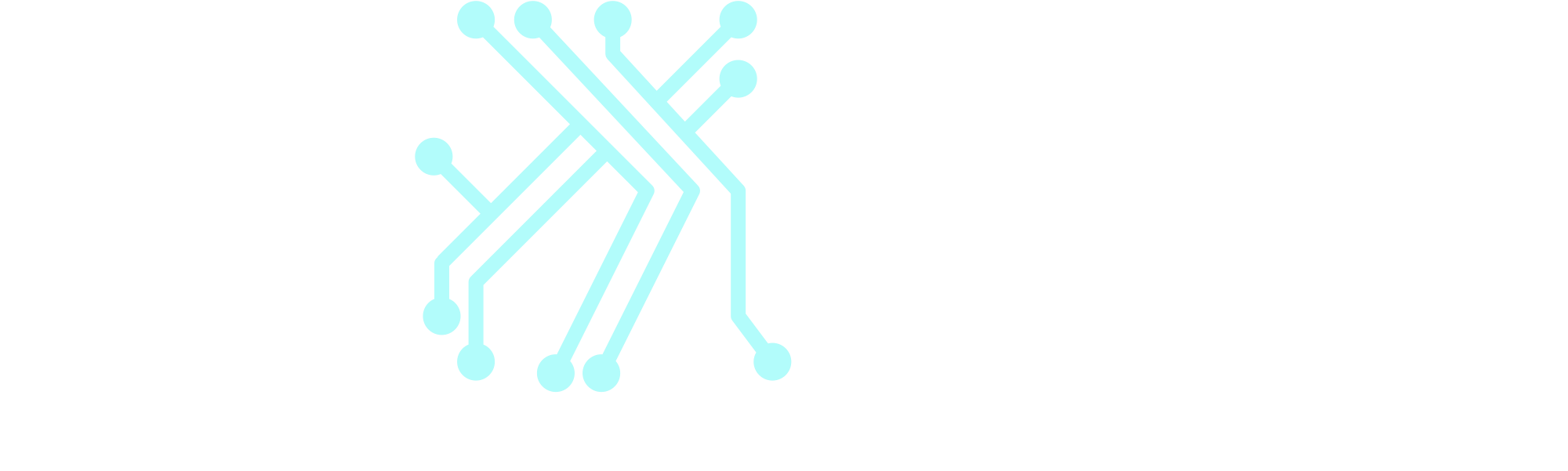 Morya Tech (former brand)